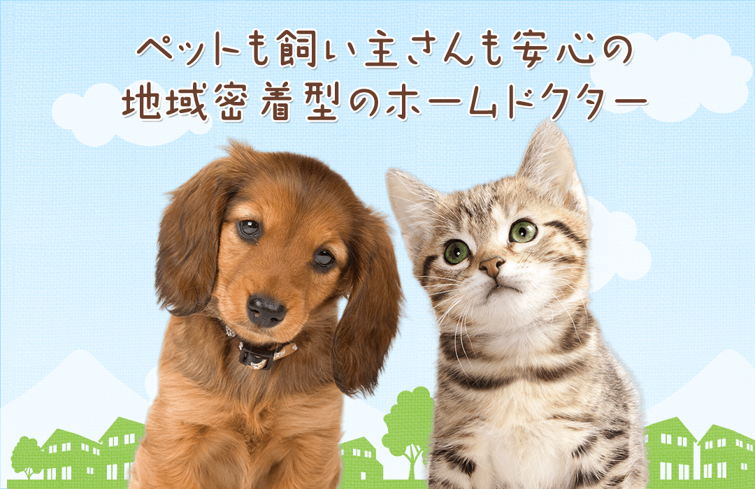 東京都小平市 小金井の栗本動物病院 犬 猫